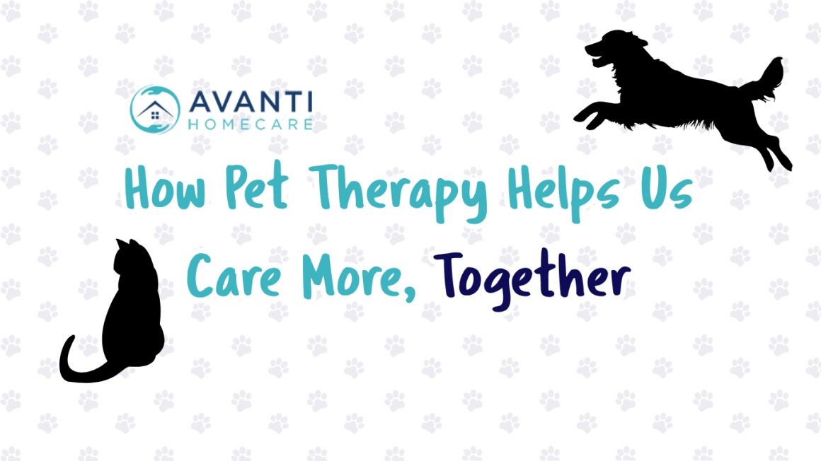 3 How Pet Therapy Helps Us Care More, Together