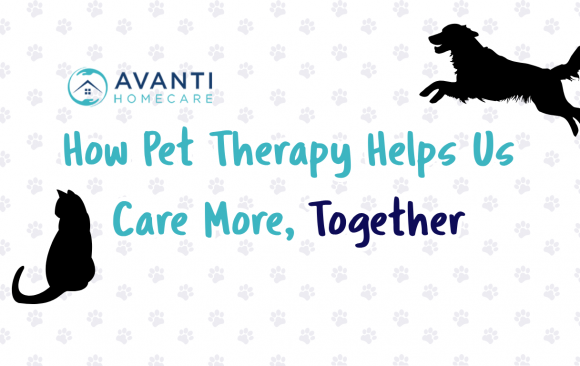 How Pet Therapy Helps Us Care More, Together